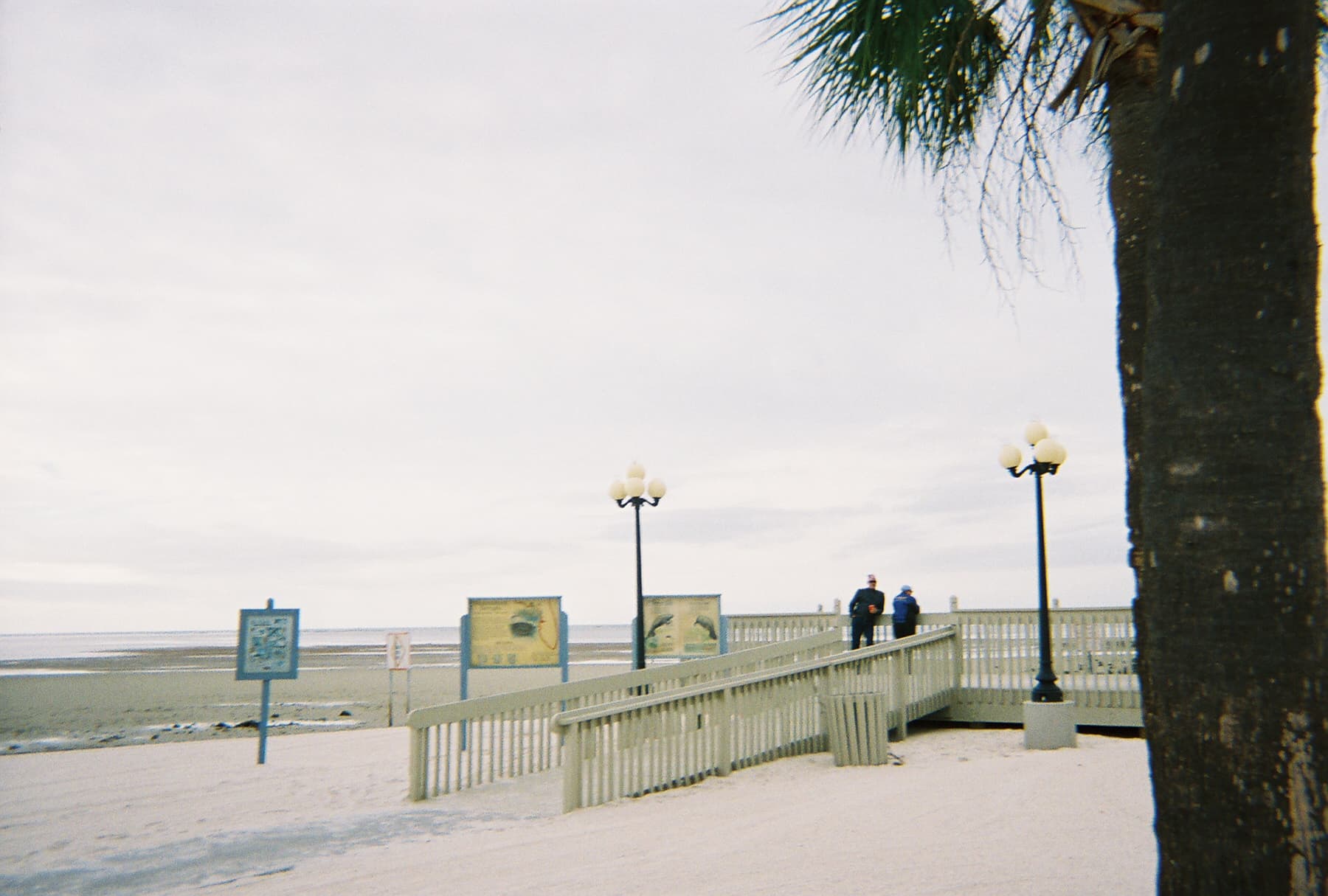 TheBus Ends Sunday Service on the Mermaid Route to Hernando's Beach and River Parks