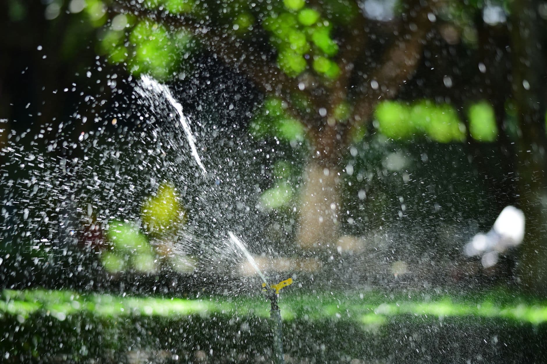 Hernando County's Lawn Watering Limits Extended Through March as Drought Drags On